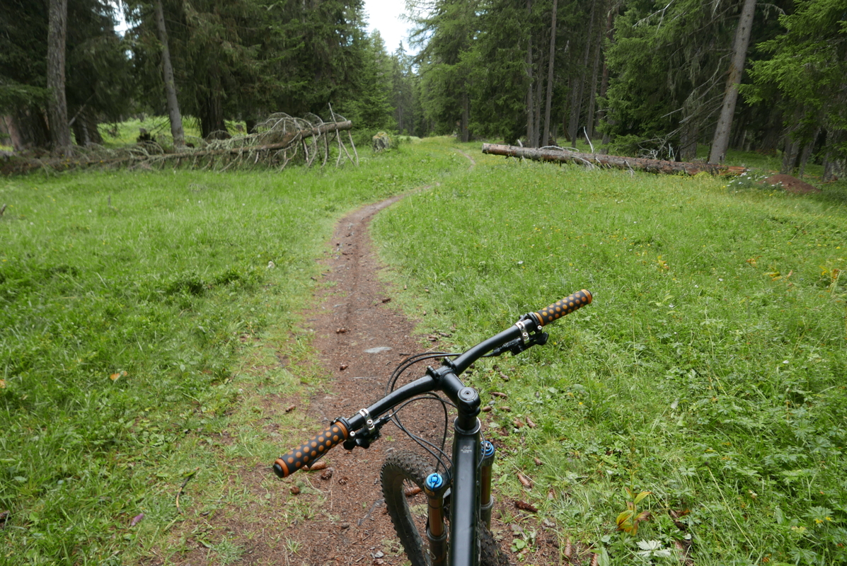 p1090860.jpg