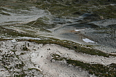 p1090775.jpg