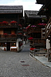 p1090827.jpg