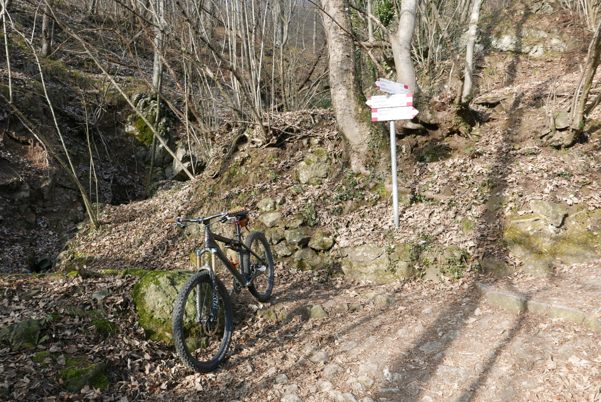 p1110136.jpg