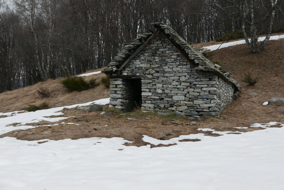 p1090126.jpg