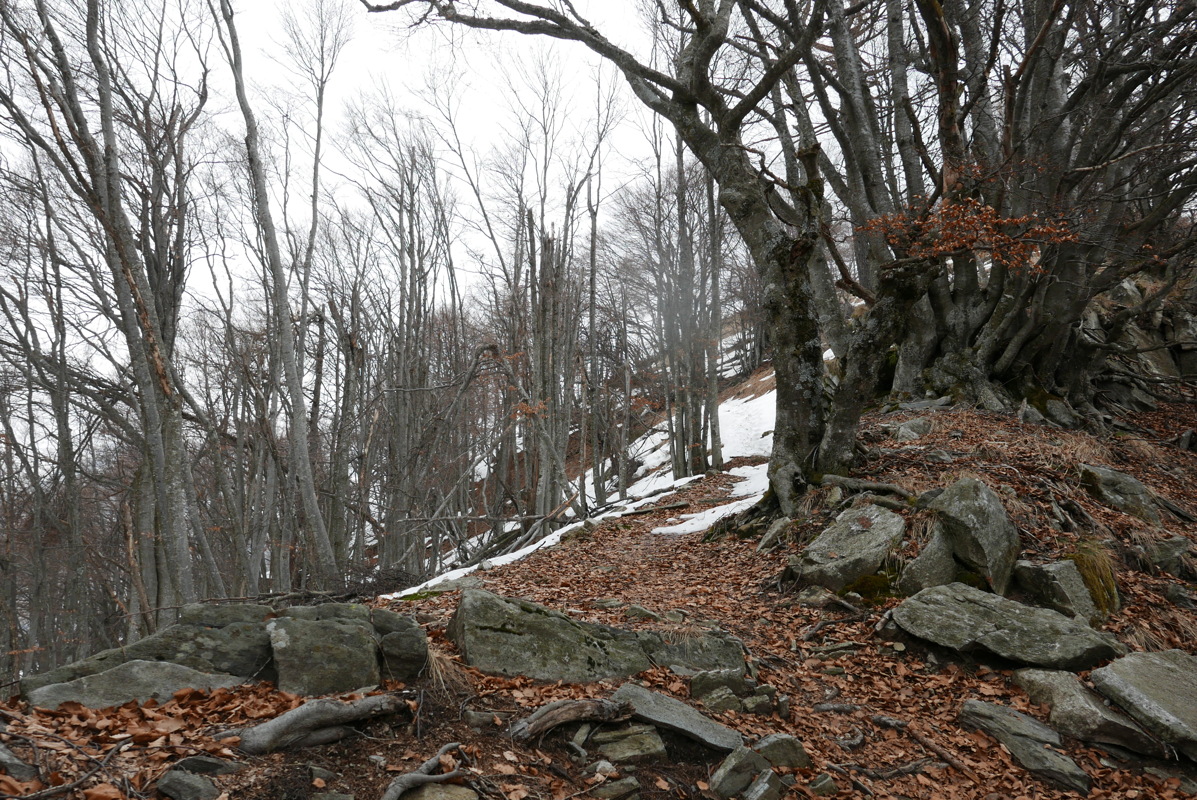 p1090128.jpg