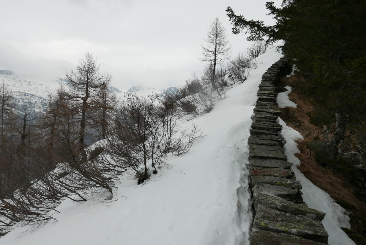 p1090137.jpg