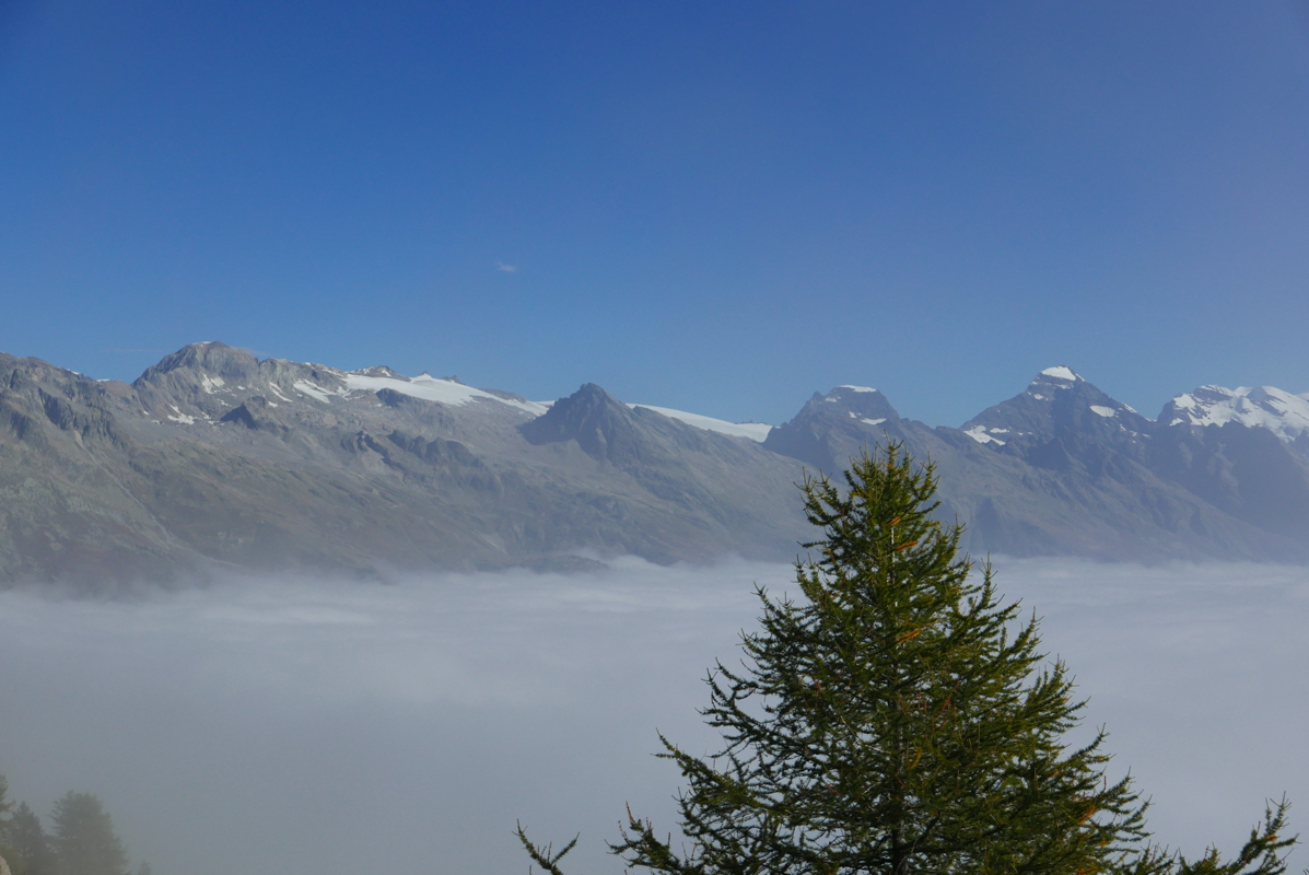 p1100234.jpg