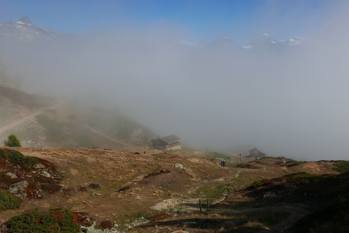 p1100236.jpg