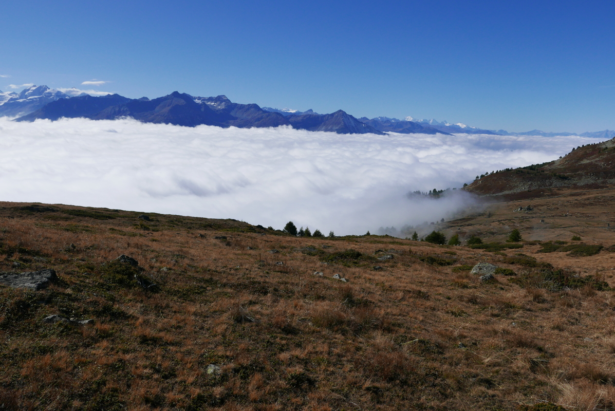 p1100241.jpg