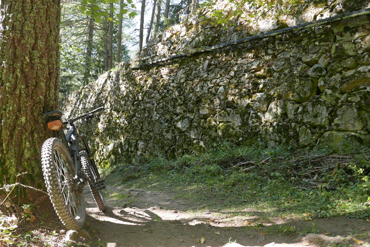 p1100261.jpg