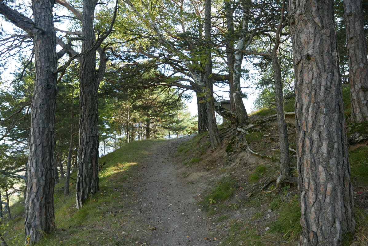p1100267.jpg