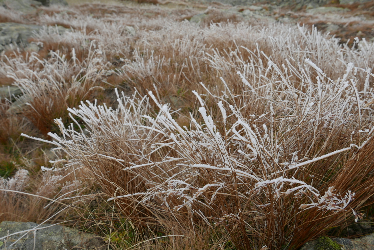 p1100275.jpg