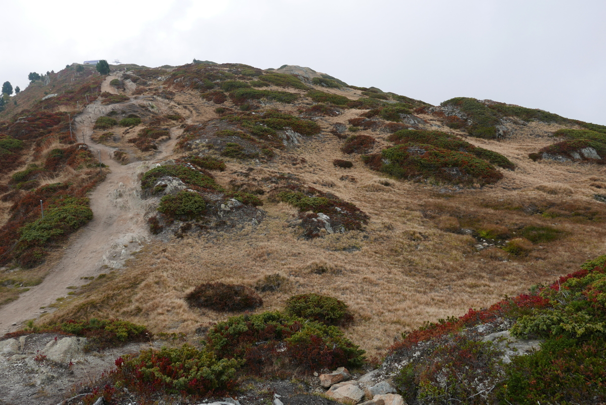 p1100294.jpg