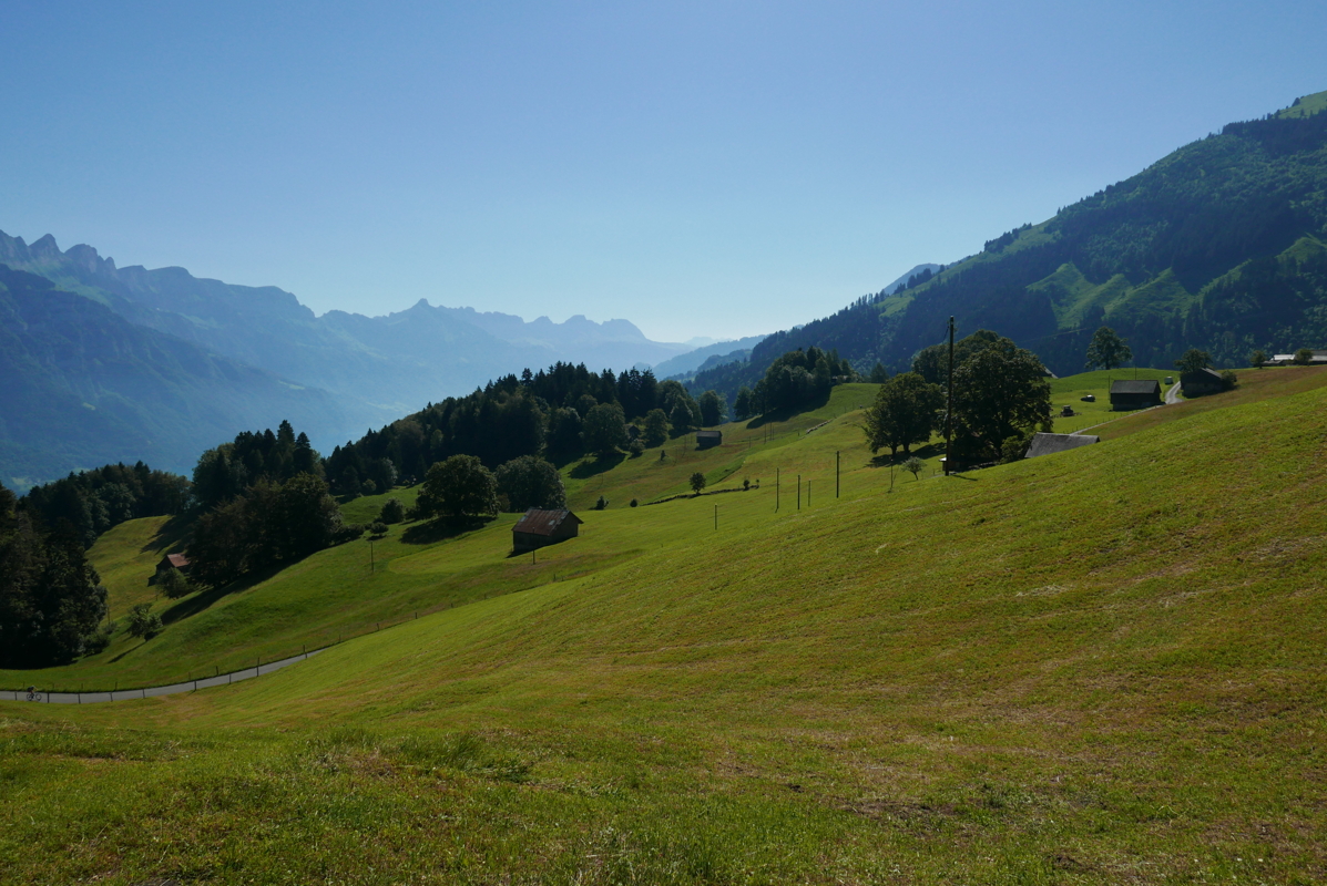 p1090466.jpg