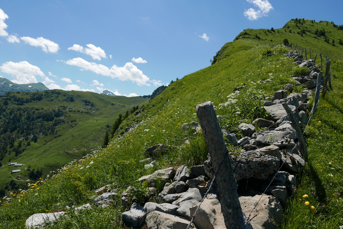 p1090468.jpg