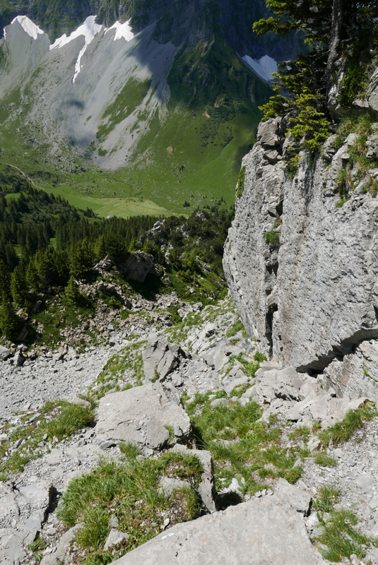 p1090473.jpg