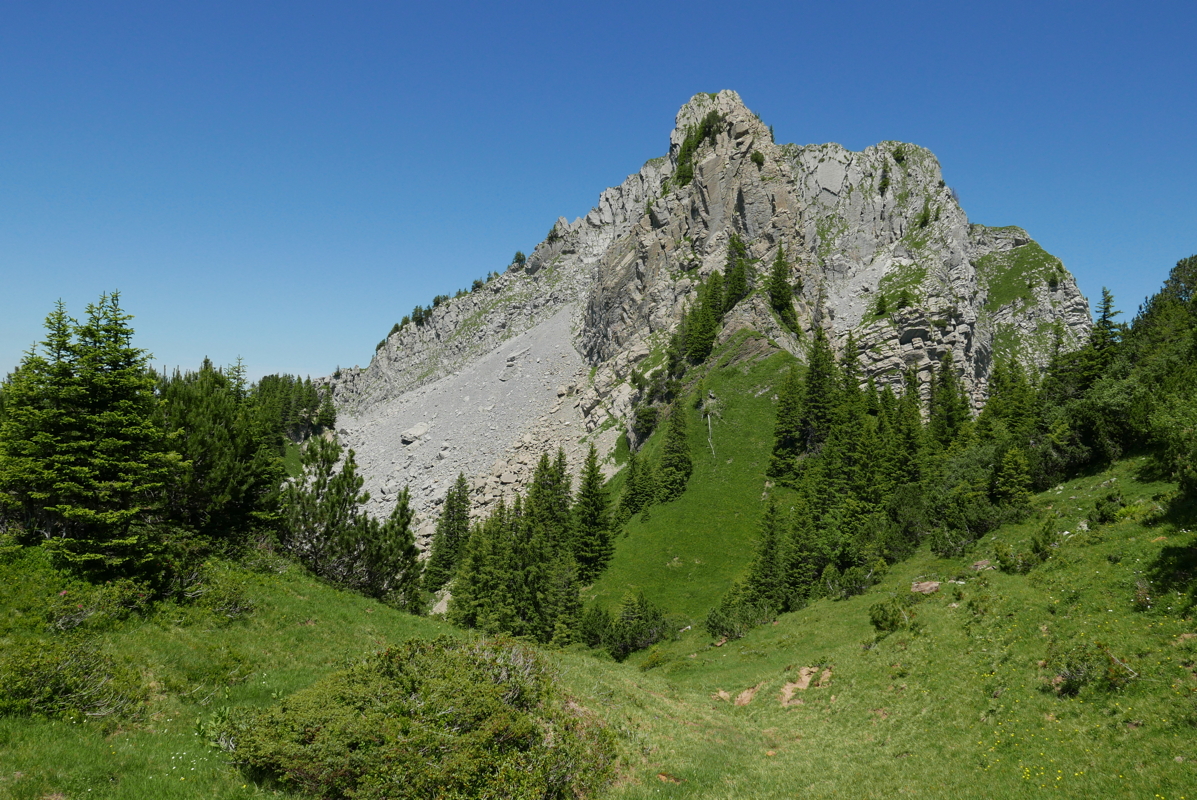 p1090475.jpg