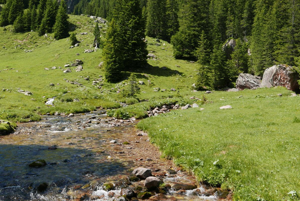 p1090484.jpg