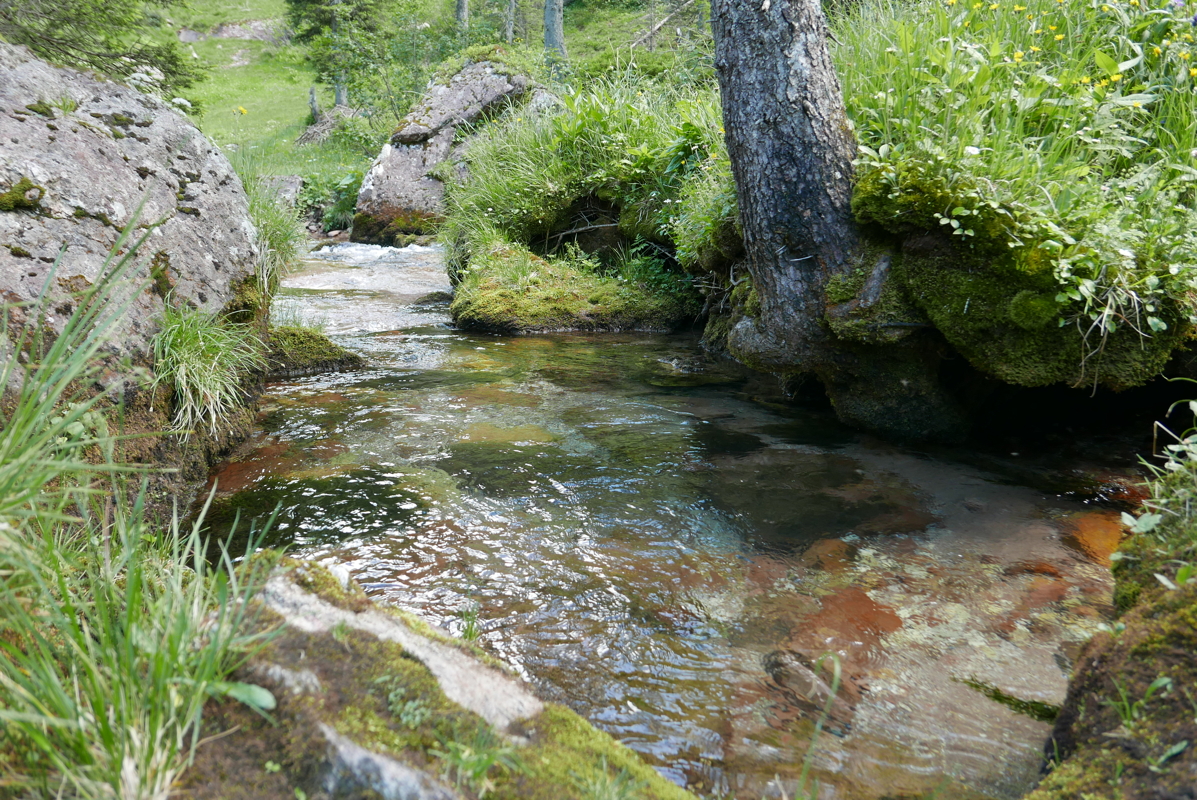 p1090485.jpg