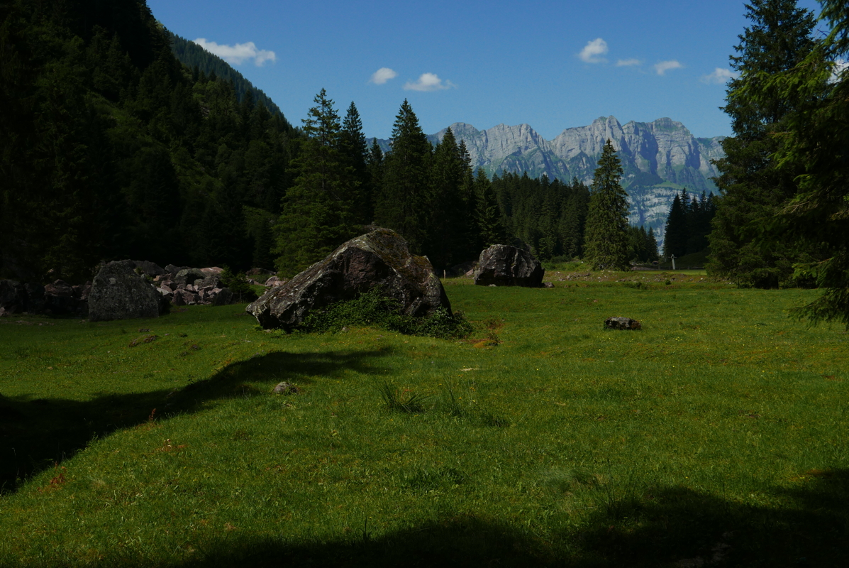 p1090490.jpg