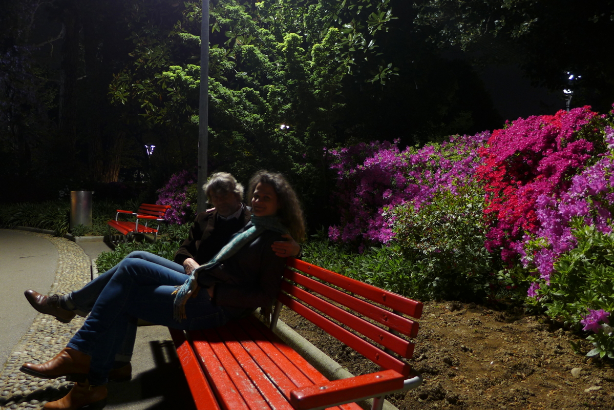 p1060927.jpg