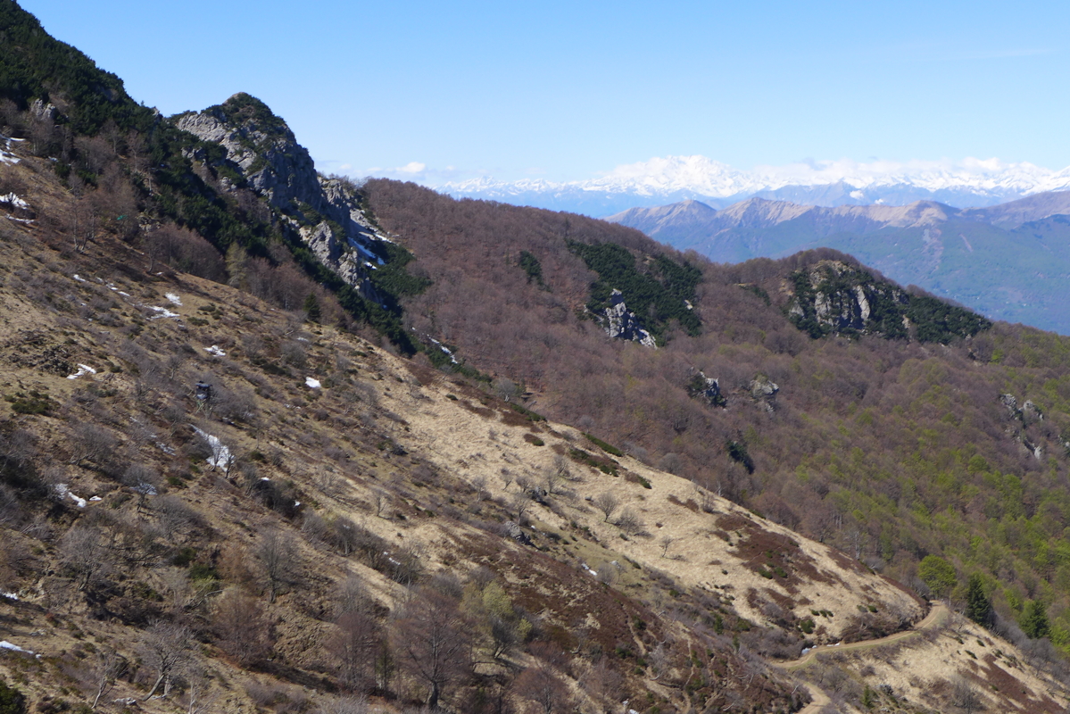 p1060943.jpg