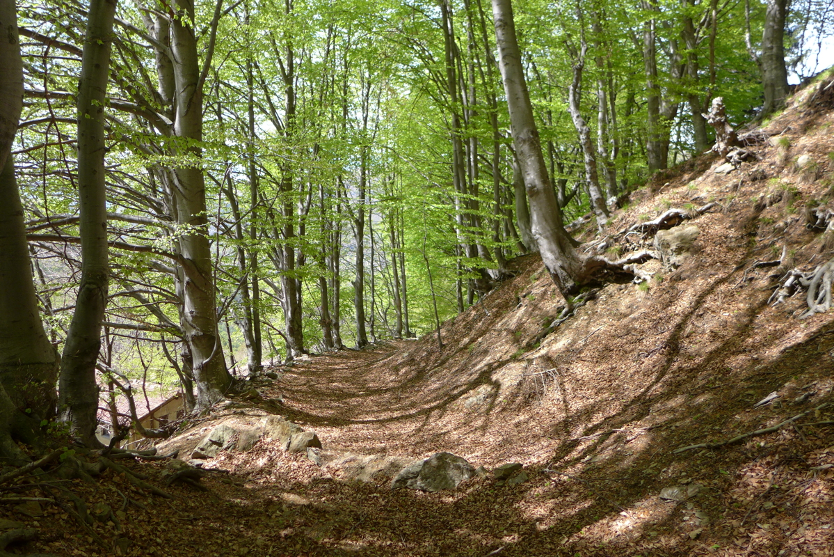 p1060973.jpg