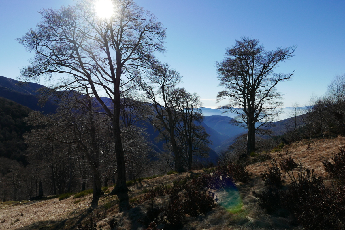 p1100925.jpg