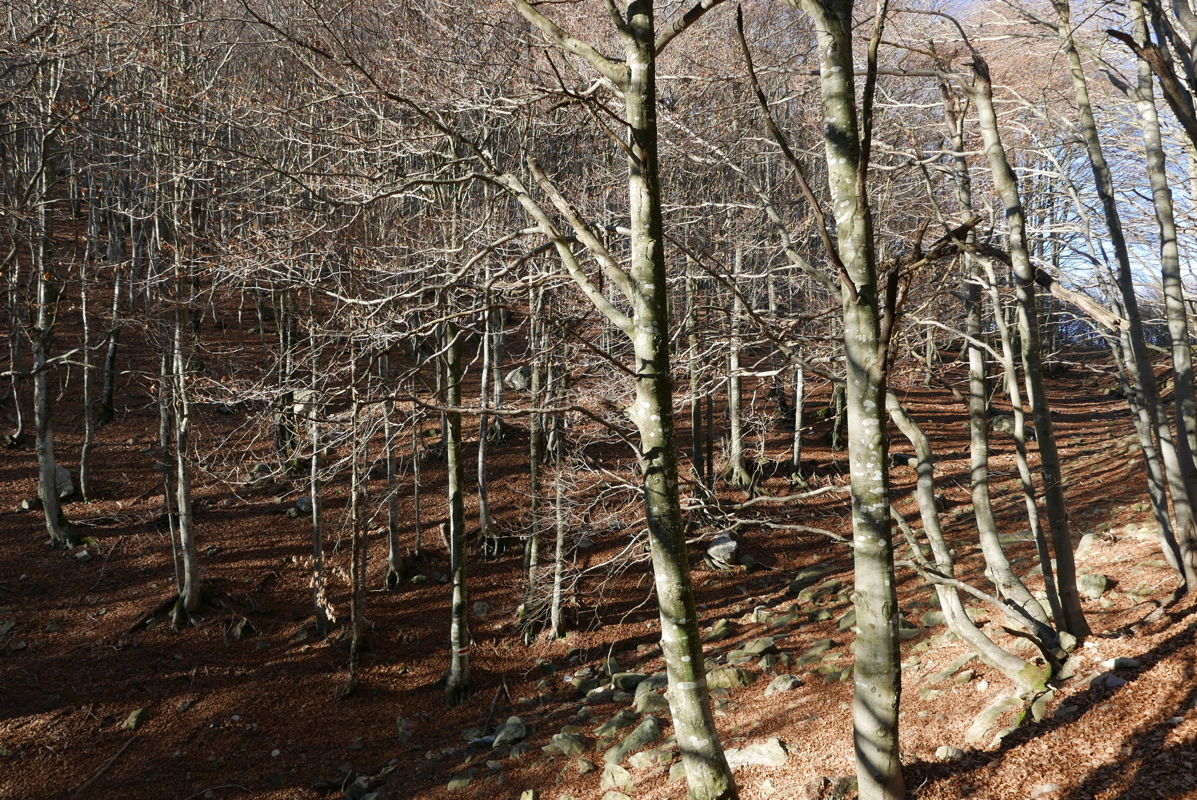 p1100931.jpg