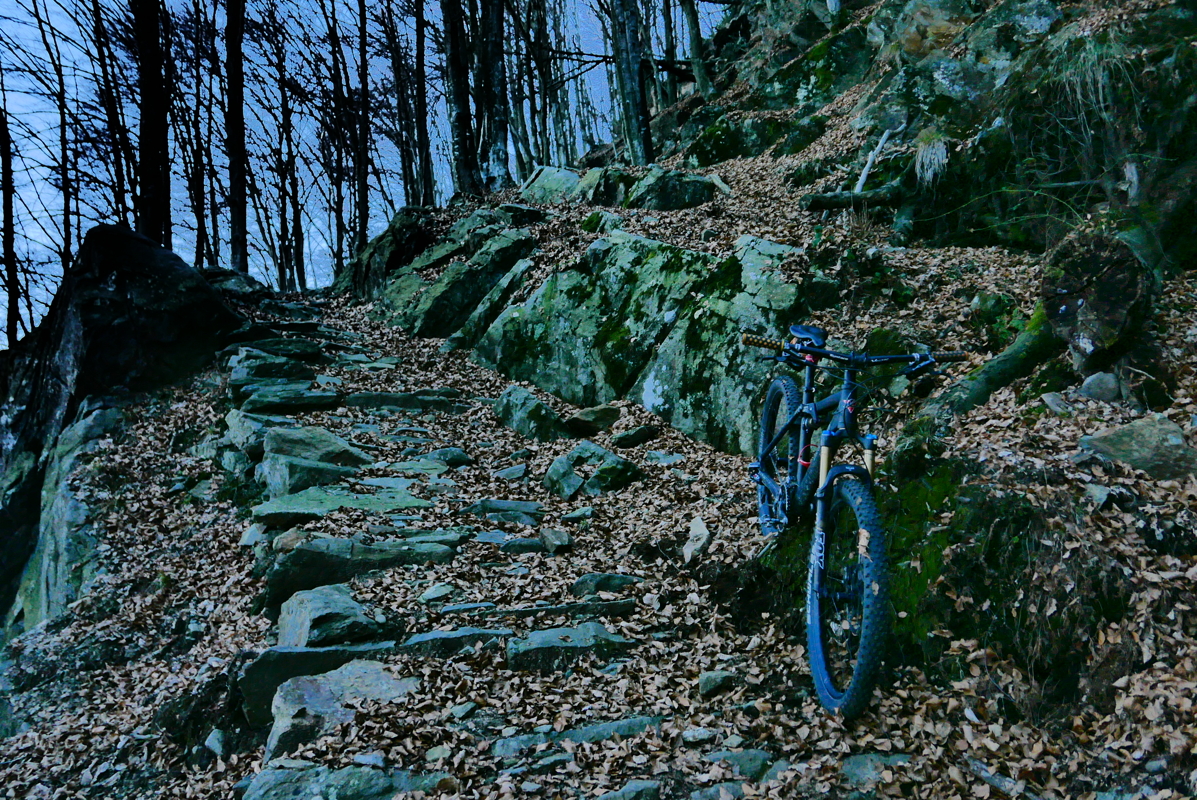 p1100943.jpg