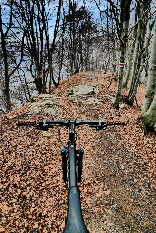 p1100964.jpg