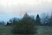p1100918.jpg