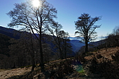 p1100925.jpg