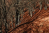 p1100926.jpg