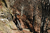p1100928.jpg