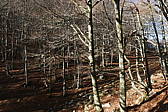 p1100931.jpg
