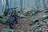 p1100938.jpg