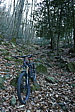 p1100948.jpg