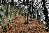 p1100966.jpg