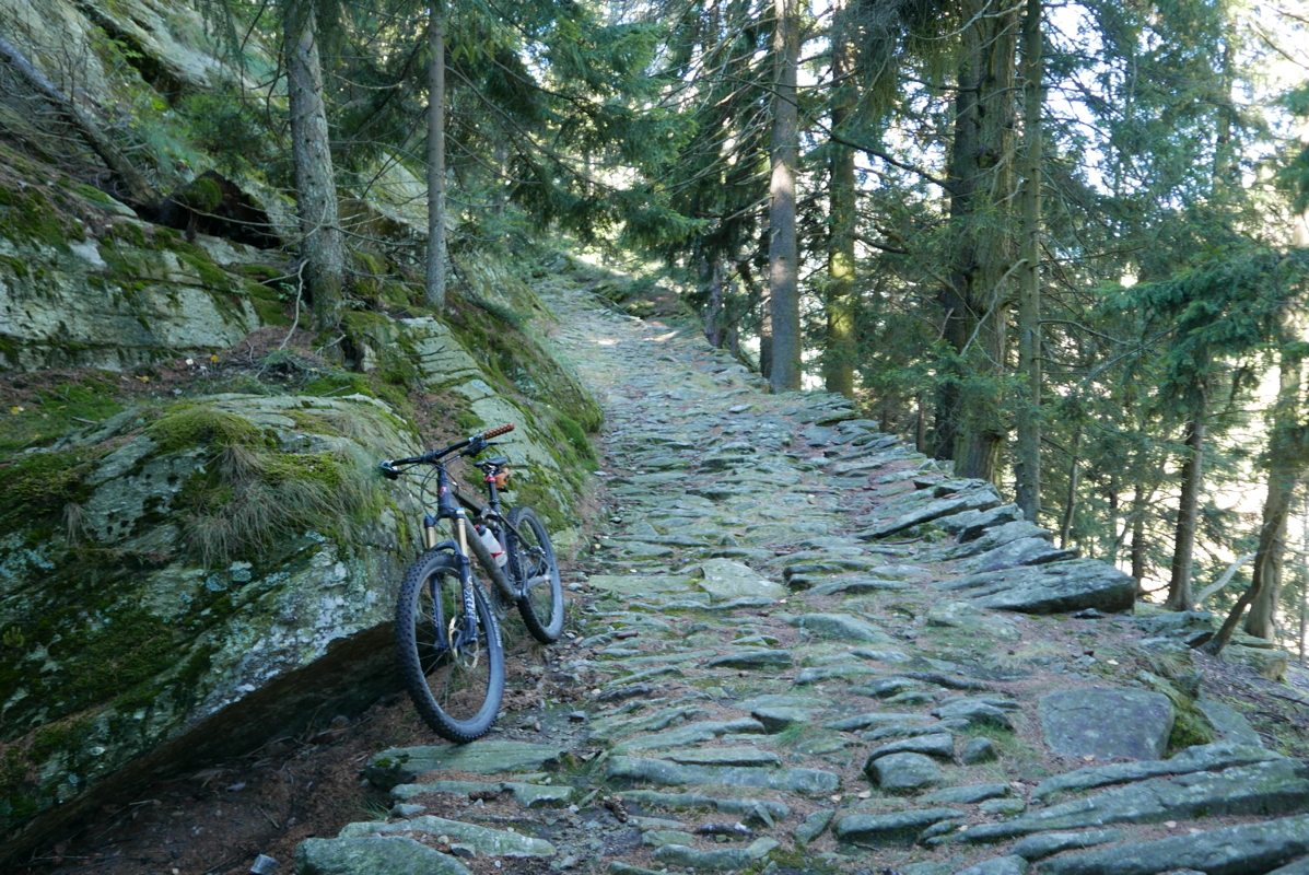 p1100169.jpg
