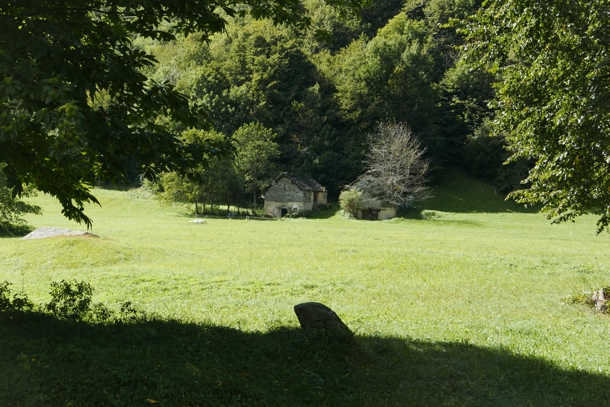 p1100174.jpg