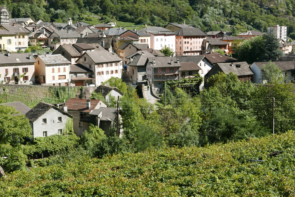 p1100179.jpg