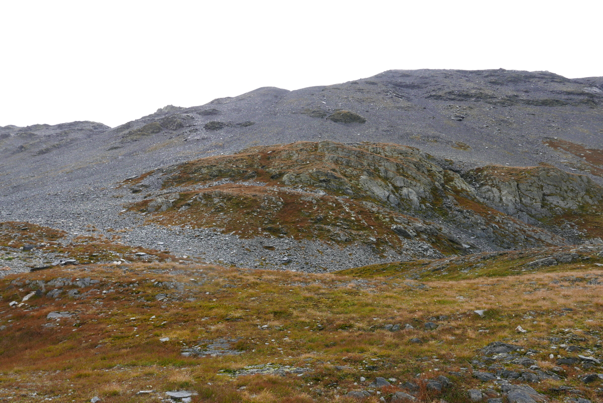 p1100205.jpg