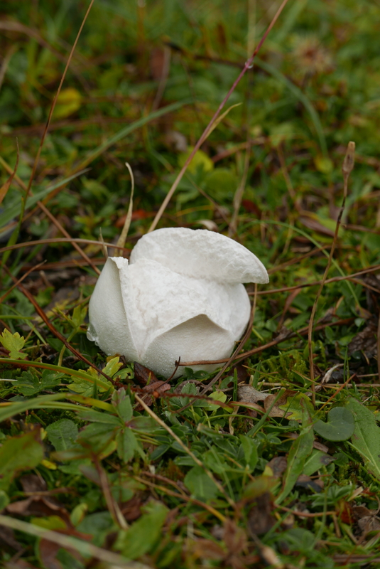 p1100218.jpg