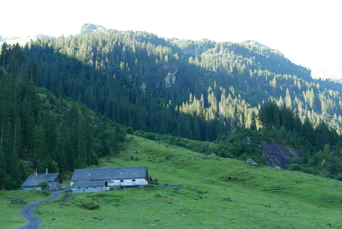 p1090624.jpg