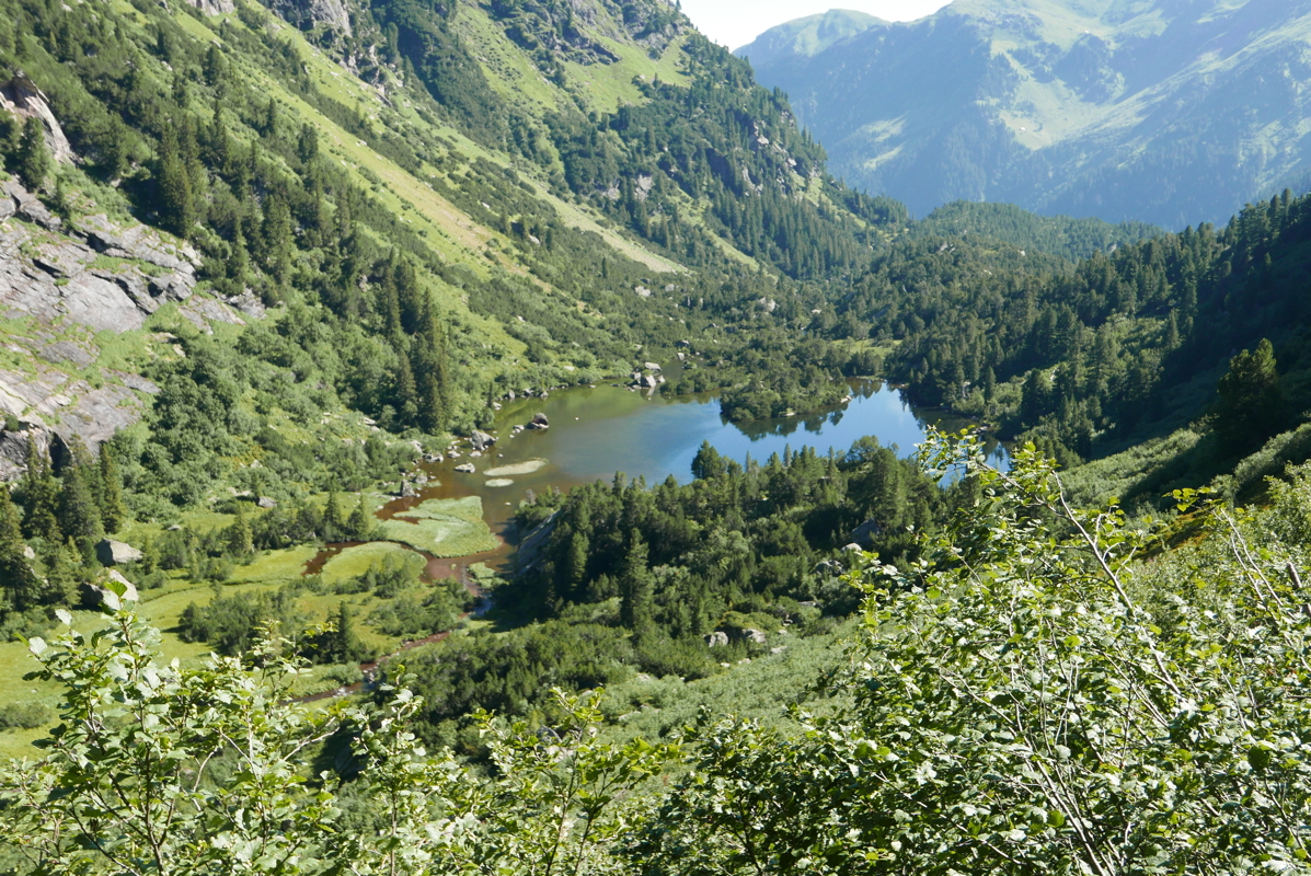 p1090631.jpg