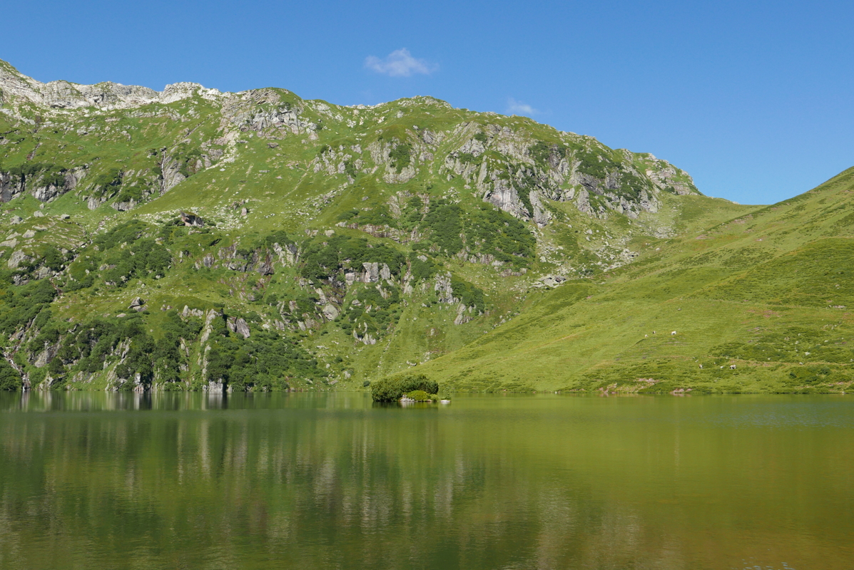 p1090636.jpg