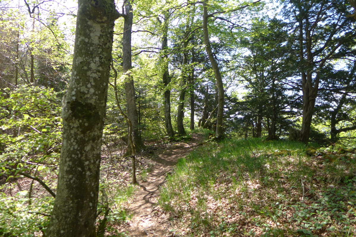 p1070015.jpg