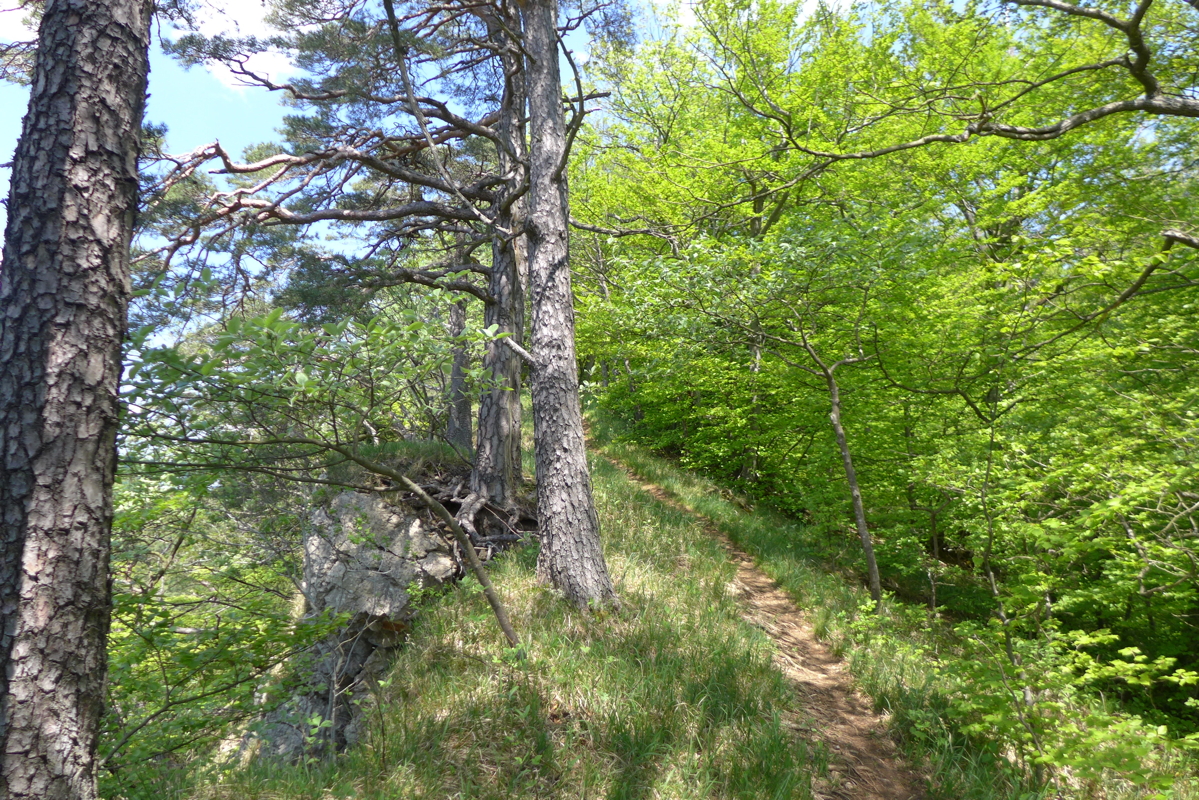 p1070017.jpg