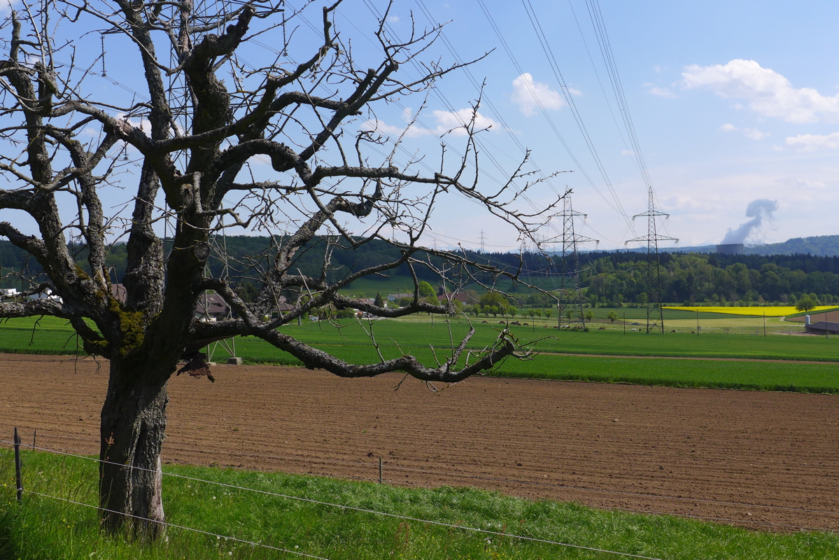 p1070020.jpg