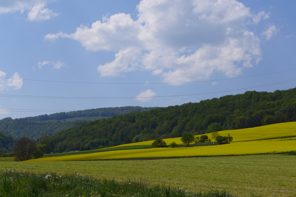 p1070021.jpg