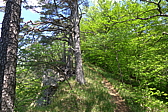 p1070017.jpg