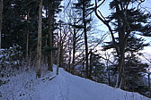 p1060212.jpg